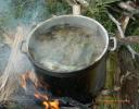 Ayahuasca - The Visionary and Healing Plant Brew from the Amazon